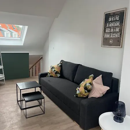 Duplex Refait A Neuf 滨海布洛涅